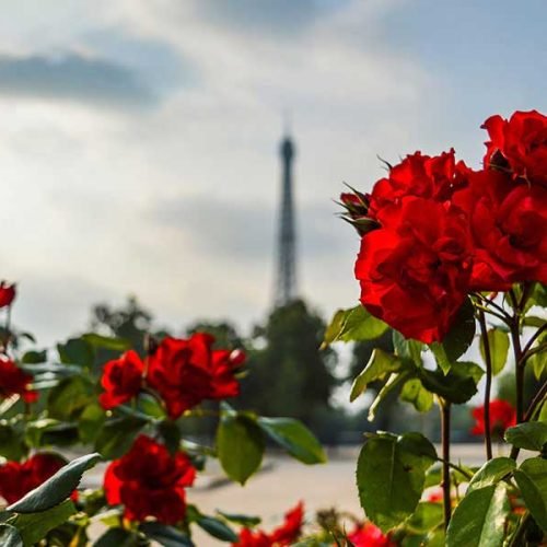 Travel: Exploring the Singapore, Malesia And Bankok